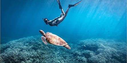 Snorkelling